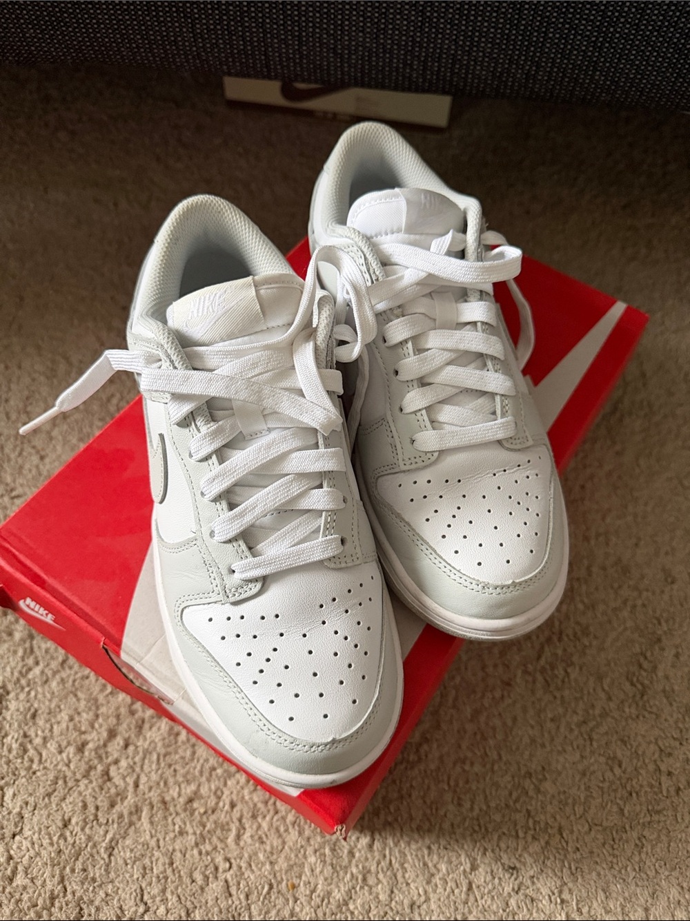 Nike Women’s Dunk